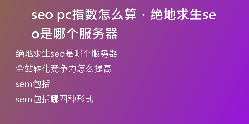 seo pc指數(shù)怎么算，絕地求生seo是哪個服務(wù)器