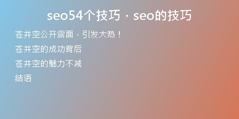 seo54個(gè)技巧，seo的技巧