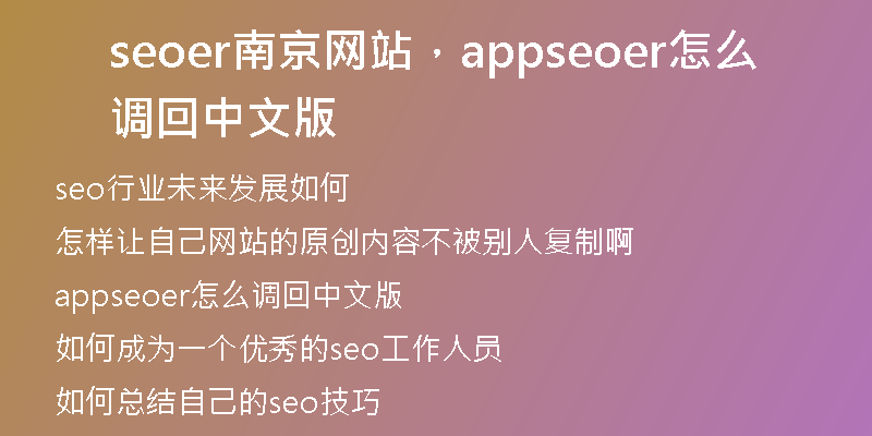 seoer南京網(wǎng)站，appseoer怎么調(diào)回中文版