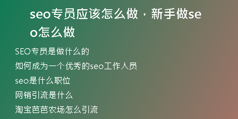 seo專員應(yīng)該怎么做，新手做seo怎么做