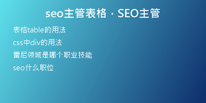 seo主管表格，SEO主管