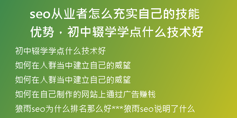 seo從業(yè)者怎么充實(shí)自己的技能優(yōu)勢(shì)，初中輟學(xué)學(xué)點(diǎn)什么技術(shù)好