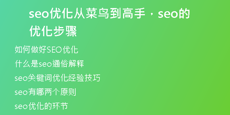 seo優(yōu)化從菜鳥(niǎo)到高手，seo的優(yōu)化步驟