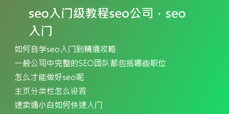 seo入門(mén)級(jí)教程seo公司，seo 入門(mén)