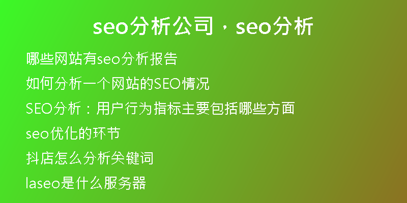 seo分析公司，seo分析