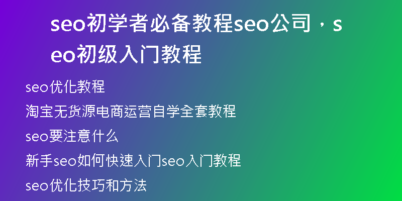 seo初學(xué)者必備教程seo公司，seo初級(jí)入門(mén)教程