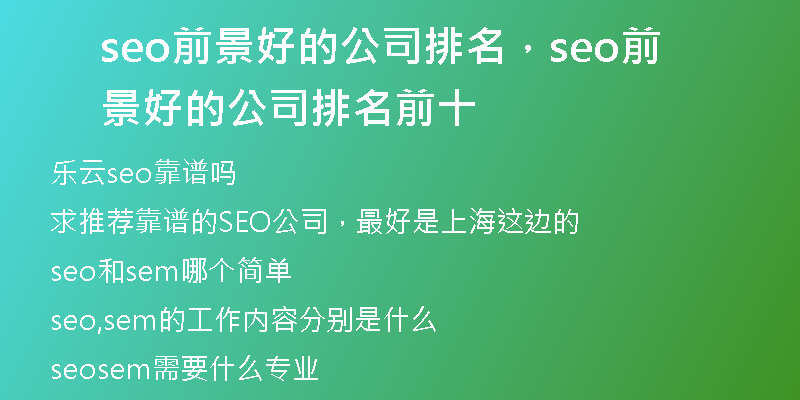 seo前景好的公司排名，seo前景好的公司排名前十