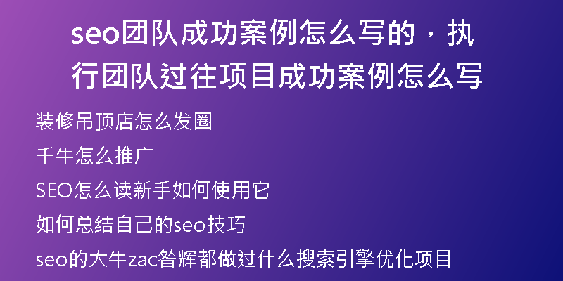 seo團隊成功案例怎么寫的，執(zhí)行團隊過往項目成功案例怎么寫