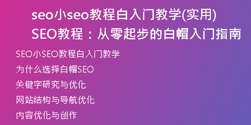seo小seo教程白入門教學(xué)(實(shí)用SEO教程：從零起步的白帽入門指南)
