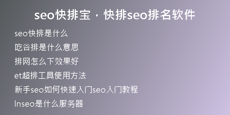 seo快排寶，快排seo排名軟件