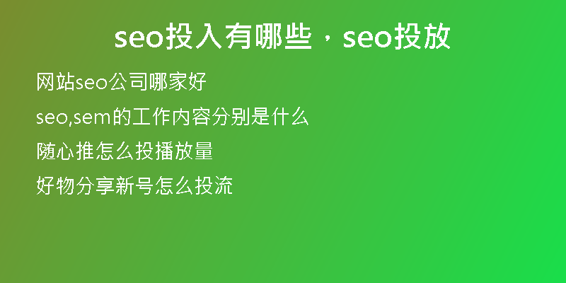 seo投入有哪些，seo投放