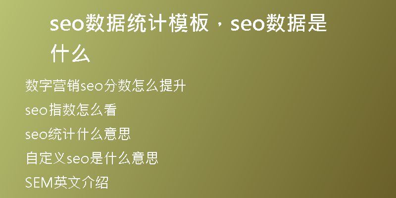 seo數(shù)據(jù)統(tǒng)計(jì)模板，seo數(shù)據(jù)是什么