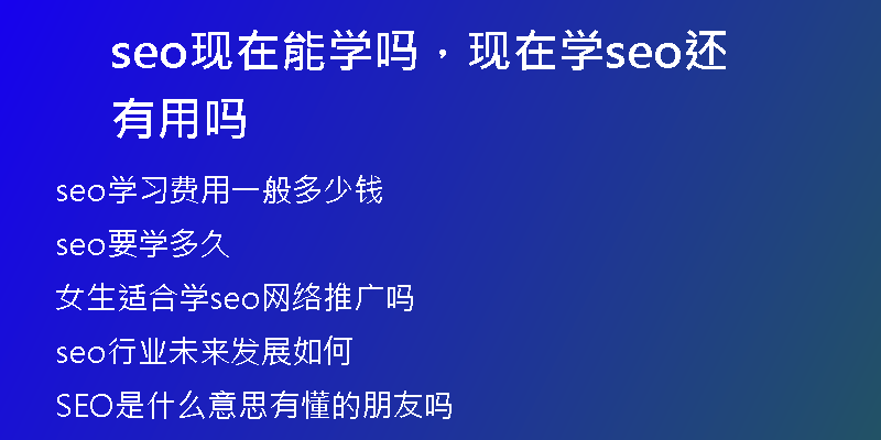 seo現(xiàn)在能學(xué)嗎，現(xiàn)在學(xué)seo還有用嗎