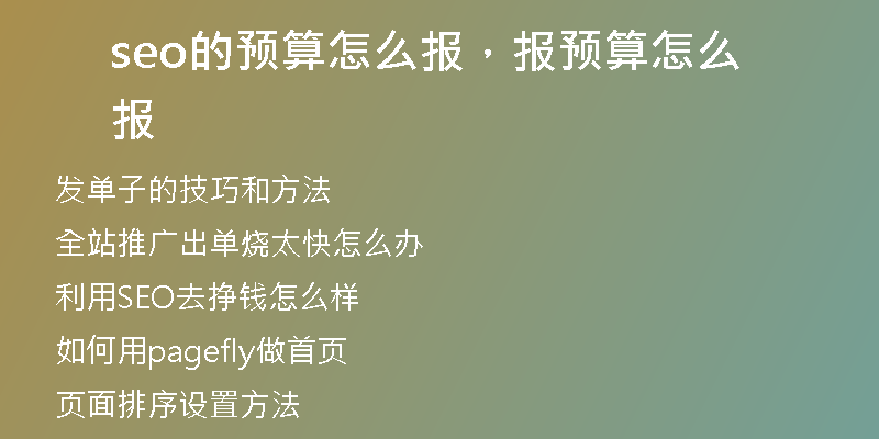 seo的預(yù)算怎么報(bào)，報(bào)預(yù)算怎么報(bào)