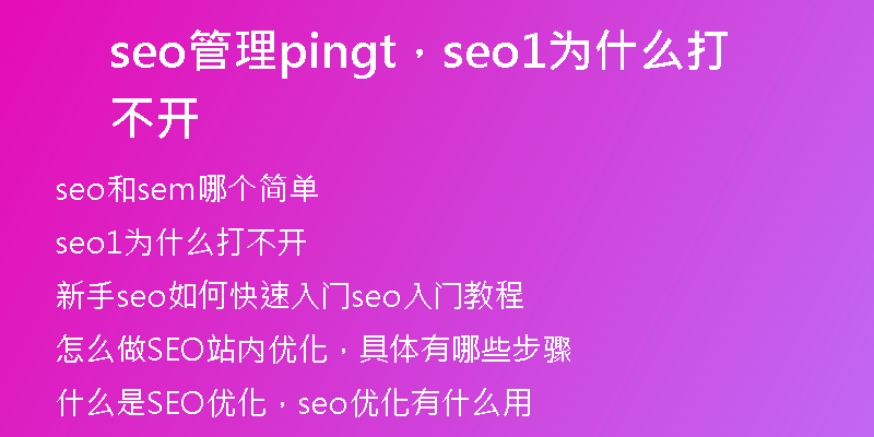 seo管理pingt,seo1為什么打不開(kāi)