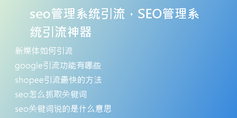 seo管理系統(tǒng)引流，SEO管理系統(tǒng)引流神器