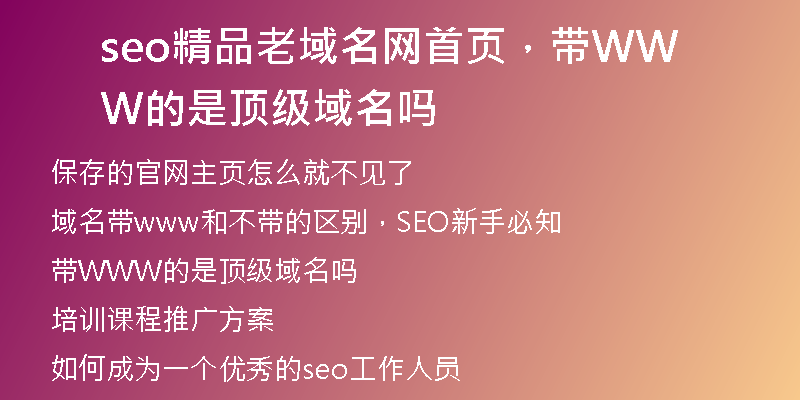 seo精品老域名網(wǎng)首頁，帶WWW的是頂級域名嗎
