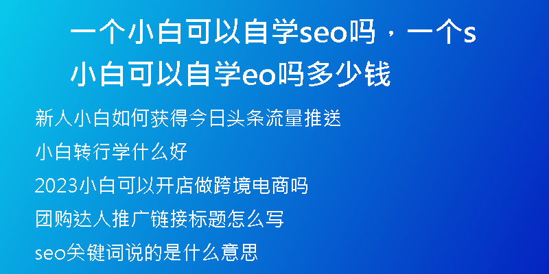 一個小白可以自學(xué)seo嗎，一個小白可以自學(xué)seo嗎多少錢