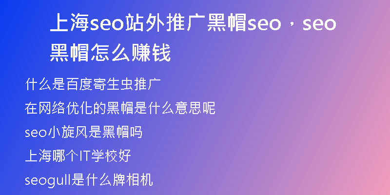 上海seo站外推廣黑帽seo，seo黑帽怎么賺錢(qián)